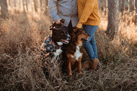 Missy & Steve // Crystal Lake, IL