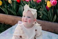 Penelope Milestone Session // Barrington IL